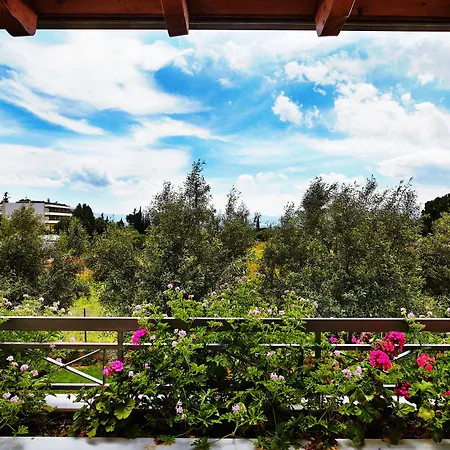 米拉马尔酒店 酒店 4*