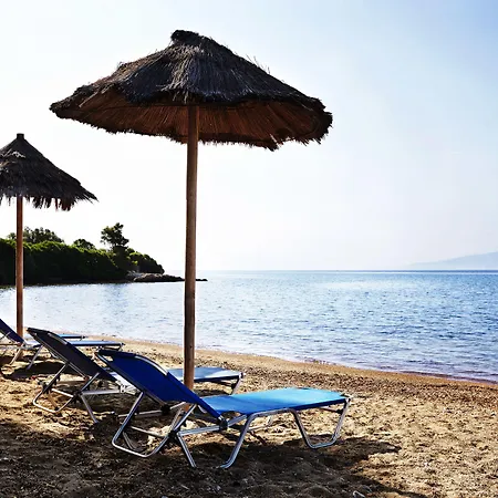 酒店 米拉马尔酒店